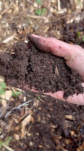 10K views · 293 reactions | Humus is a dark organic substance made up...