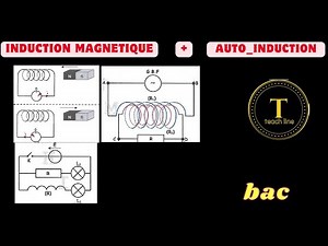 induction magnétique/auto induction
