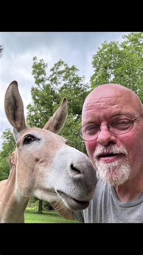 Steve swift (@steveswift61)’s videos with Im Seriously the Cutest Ever - Parker James