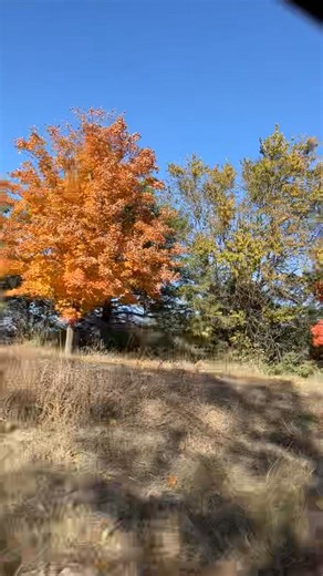 Fall colors at the Oasis of the Prairie! | Prairie Oasis