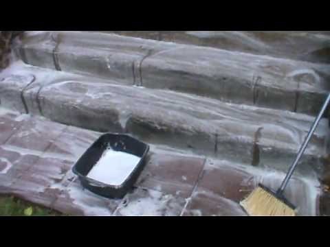 Cleaning Black Mildew from Cement Steps