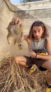 They weren't going to survive long!! 😰🐰