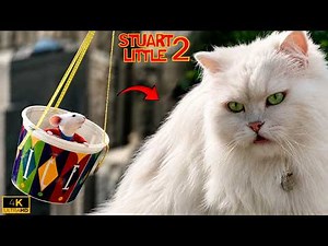 Stuart Little Gets Trapped in a Bucket as Snowbell Watches | Stuart Little 2 (2002)