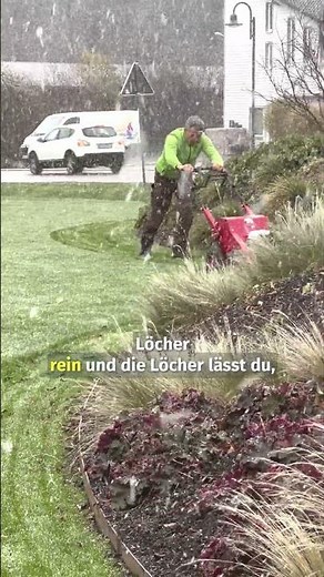 Should you top dress with sand after aerating? #foryou #grass #lawn #sand #lawnsand #sanding