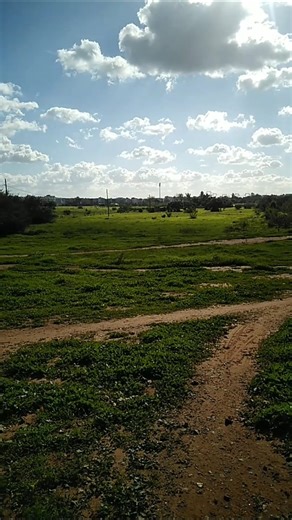 ✨أمطار الخير ✨