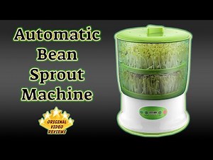 Bean Sprouts Machine Review 🌱