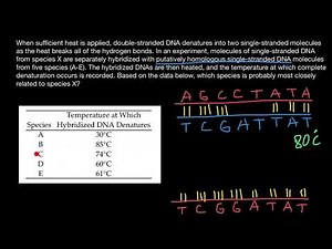 How DNA sequences used to generate Phylogenic trees