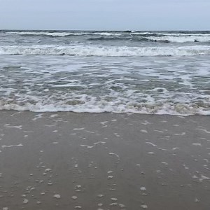 Wo de Ostseewellen trecken an den Strand, wo de gäle Ginster bleught in’ Dünensand, wo de Möwen schriegen grell in’t Stormgebrus, dor is mine Heimat, dor bün ick tau Hus.Well- un Wogenruschen wiern min Weigenlied, un de hogen Dünen seg’n min Kinnertied, seg'n uck mine Sähnsucht un min heit Begehr, in de Welt tau fleigen öwer Land un Meer.Woll hett mi dat Läwen dit Verlangen stillt, hett mi allens gäwen, wat min Hart erfüllt, allens is verschwunden, wat mi quält un drew, häw nu Fräden funden, doc