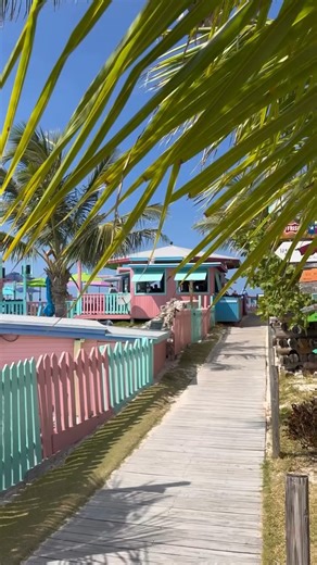 33K views · 285 reactions | Come for the Goombay Smash, stay for the locals. #TheAbacos #GuanaCay | Travel Bahamas | Facebook