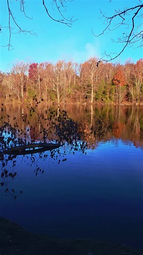 Happy Thanksgiving! #somewhereinpennsylvania #autumn #alicesrestaurant #thanksgivingday