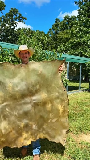 Scott Gore Rawhide on Instagram: "Turning rawhide into strings for braiding #leathercraft #leatherwork #leatherworking #leathercrafts #leathercrafting #craft"