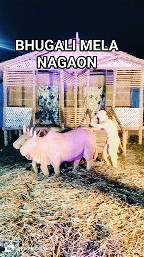 bhugali Mela nagaon Assam #beautiful #bihu #fastival #assam #assamese #vairal #song #by #zubeen