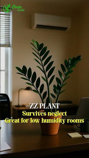 Green Evolve Advertising | Sustainable Marketing & Eco-Friendly Branding Solutions