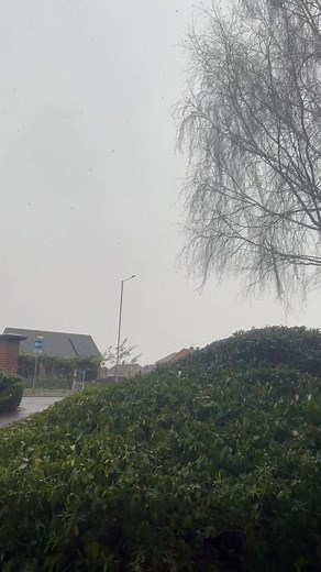 When the world turns white ❄️✨ Just me, my thoughts, and the snow outside my window. #SnowDayVibes #WinterMagic #CozyFeels #SnowyMood #NatureTherapy #PeacefulMoments #ViralMood” #wensdayvibes #goviral #trendingnow #snowday #trend #mood #fb #snow #snowman #london | Brighton Ncube