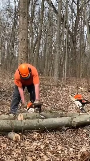 9.1K views · 82 reactions | In this firewood video I use my Stihl MS291 chainsaw to cut my Stihl MS460 chainsaw free #fblifestyle | Joe's Premium Firewood | Facebook