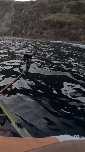 Great White Shark Encounter: Surviving a Kayak Nightmare