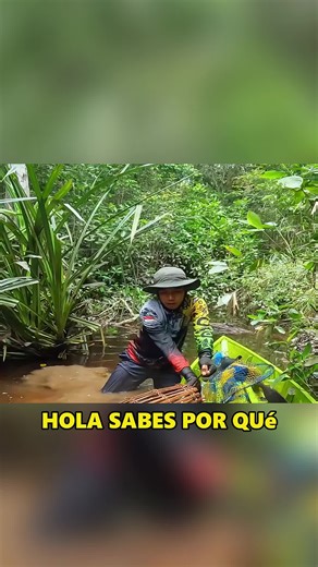 The traps in the tropical jungle are full of uncertainty. #animals #Foryou #Friendship #Us #fish #fishing