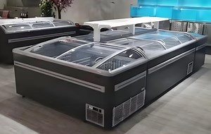 [Hot Item] High-Efficiency Commercial Refrigerator Deep Freezer for Food Storage