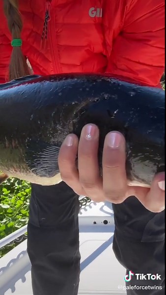 Mudfish Fishing Adventures | Full Video on YouTube