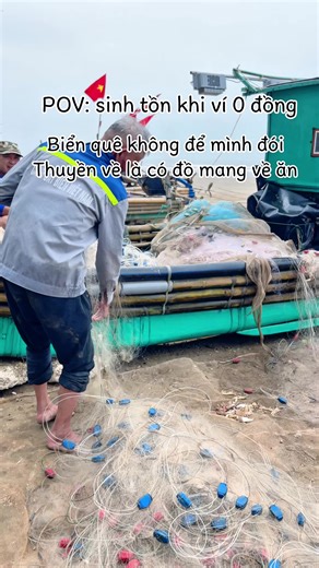 Trung bình cuộc sống 1 ngày ở biển Quảng Thái. #bienquangthai #reviewbienquangthai #eogiobaingang #cuocsongmienbien #cuocsongtrenbien
