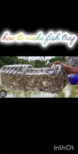 fish trap making with bottle#viral #fishtrap #fishing #easy