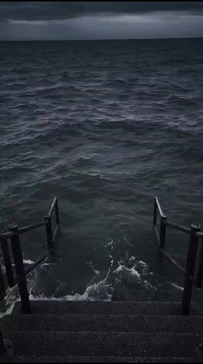 #memesontheearth #trending #fyp #viral #meme #foryoupage #tiktok #funny