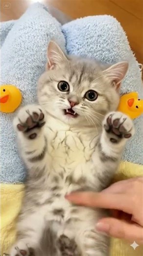 🤣 Tickle Time Terror! 🐾