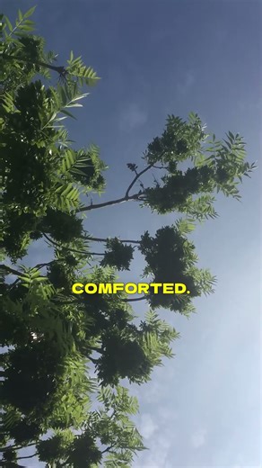 5 Bible Verses for a Broken Heart 💔 | God Heals Pain