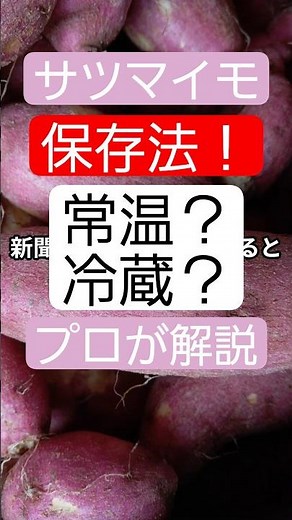 サツマイモ保存法！常温？冷蔵？プロが解説。#サツマイモ #さつまいも #焼き芋 #芋料理 #保存方法 #野菜保存 #常温保存 #冷蔵保存 #冷凍保存 #料理人の知恵 #家庭料理