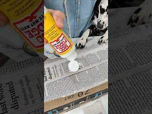 Don’t Throw Away Your Cardboard Boxes! Make This Halloween DIY 🎃