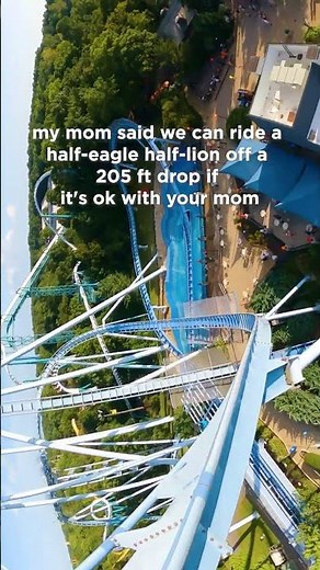 Busch Gardens | Griffon