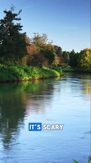 “Piranhas Aren’t As Dangerous As You Think?!” 😳 #facts