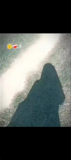 ☺️🫀🕊️ . . . . Toder life e amar gurotto kotota ta ami jani na. tobe toder behoher bole dei ami toder kase kisui na tora ato tai basto je amake deoyar moto somoy toder kase nei. hoito amar sathe kotha bolte isse kore na. But tora to janis ami toder kotota valobasi toder sathe kotha na bole ami thakte pari na. tahole amar sathe keno amon koris tora. ami rag korle seta vananor jonnou toder hate kono somoy thake na toder kisu jai ase na taito. jaihok ami r toder birokto korbona amake r tora pabina