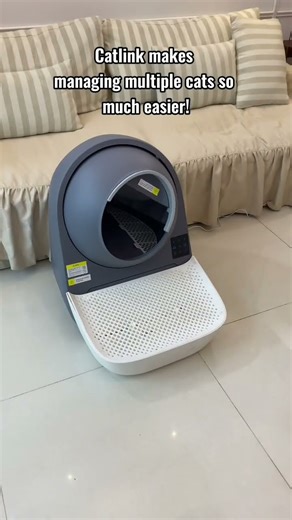 CATLINK Makes Life Easier for Multi-Cat Homes