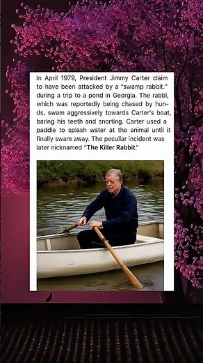 The Day a Rabbit Attacked the President!
