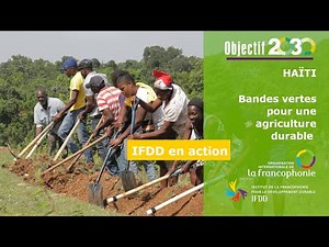 En Haïti, des bandes vertes pour une agriculture durable