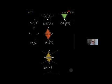 Čech, Vietoris-Rips, Delaunay and Alpha complexes [Francesca Tombari]