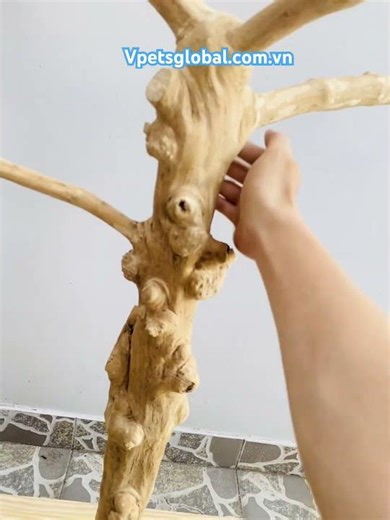 Java wood tree stand for bird. #coffeewoodchew #javawood