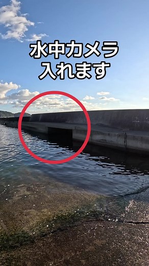 水中カメラで捉えた釣りの楽しさ