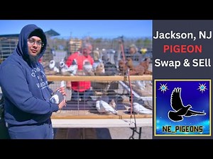 Pigeon Swap & Sell - Jackson, NJ (Spring 2023)