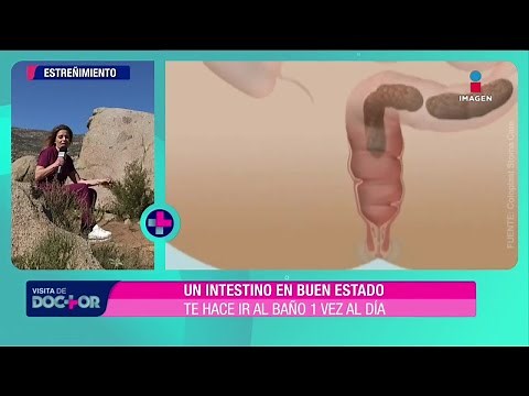Estreñimiento: causas y síntomas | Visita de Doctor
