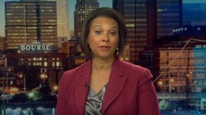 Pink giving away 2,000 banned books at Florida concerts