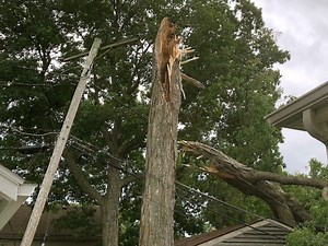 Family Displaced After Tree Falls Onto House In Morris County