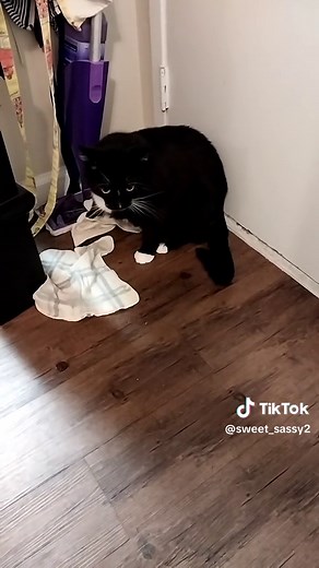 Tracy sweet sassy (@sweet_sassy2)’s videos with original sound - Tracy sweet sassy