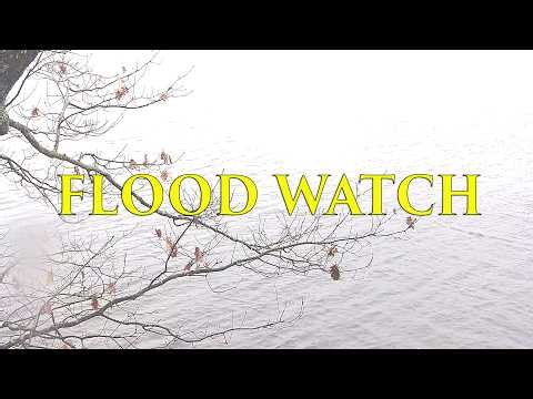 Lake Muskoka in Real Time / Flooding
