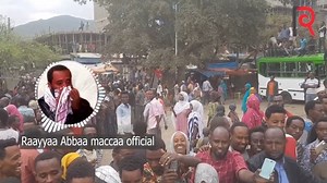 Nashiida Raayyaa Abbaa maccaaalubbuf Jirra | HAMLV