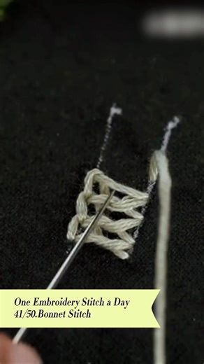 🪡 Bonnet Stitch Tutorial This one’s a lovely looped stitch that looks fancy but takes a bit of patience! It’s perfect for adding decorative edges or textured petals. 🌸 #fyp #embroidery #tutorial #tutorialvideo #FacebookPage #art #tips #guide | HeyPouch store