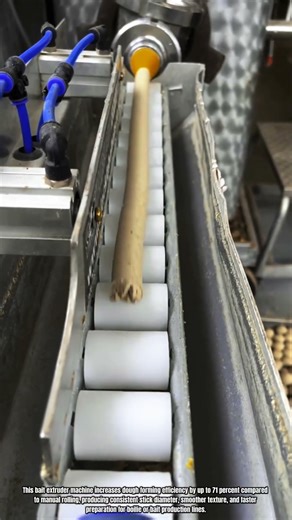 Best Innovation Bait Extruder Machine: How to Form Uniform Dough Sticks