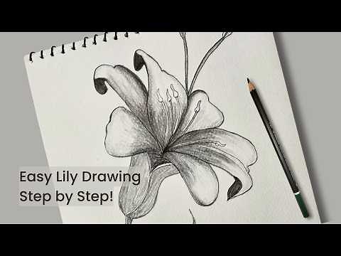 How to Draw a Stunning Lily | Easy, Detailed & Lifelike Pencil Sketch