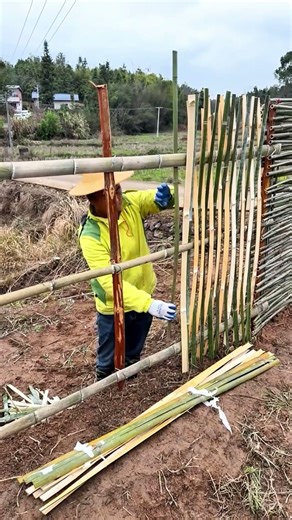 DIY Natural Bamboo Fence Building #shorts